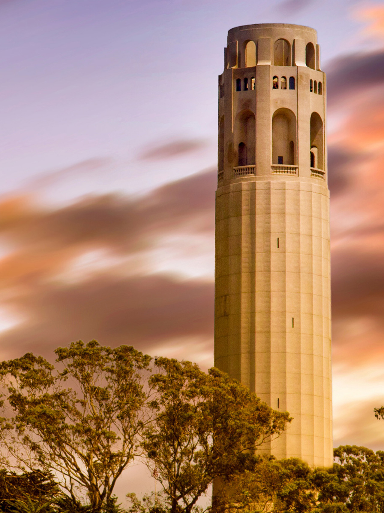 Coit Tower rising above trees at golden sunset