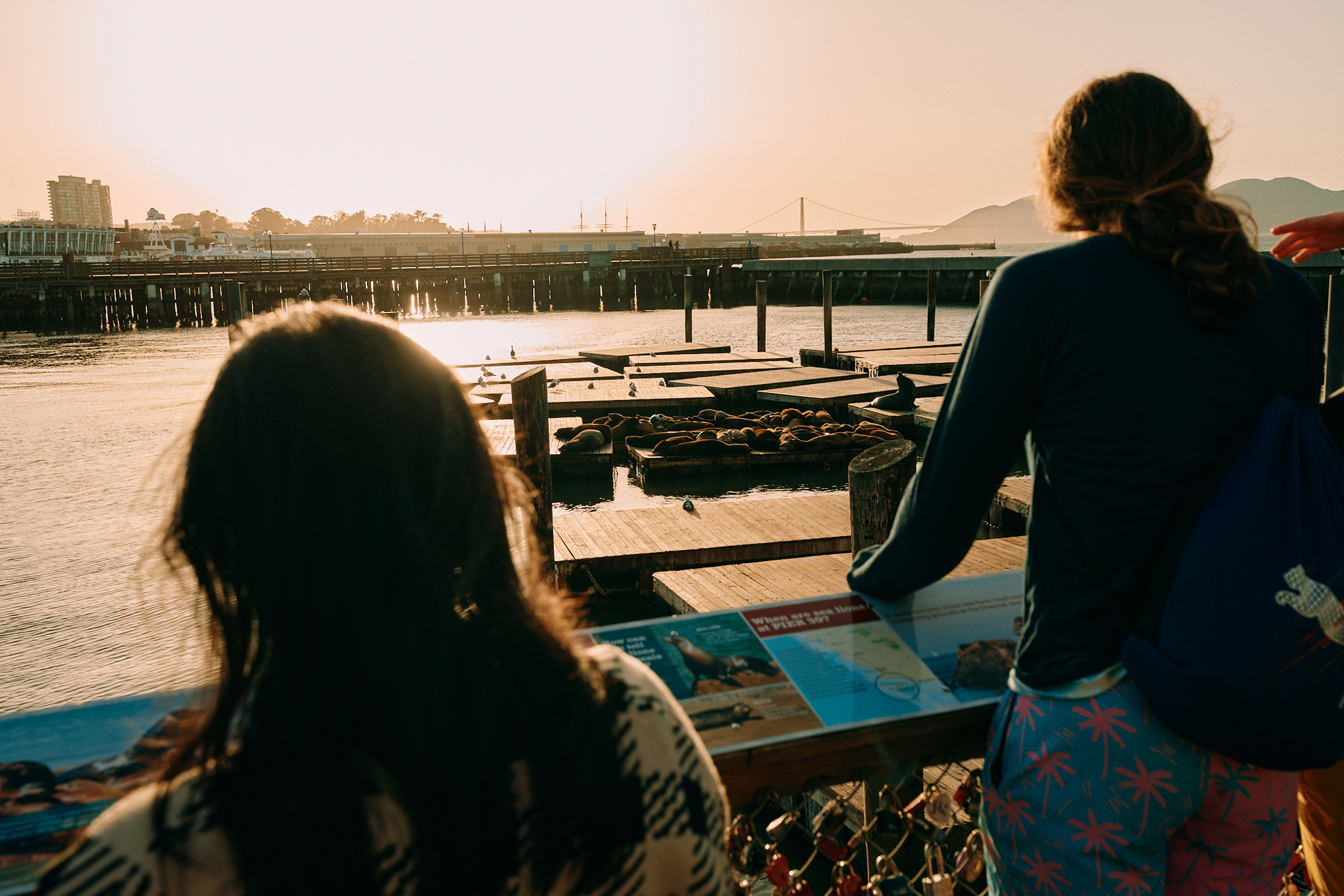 Visitors watching sea lions at sunset