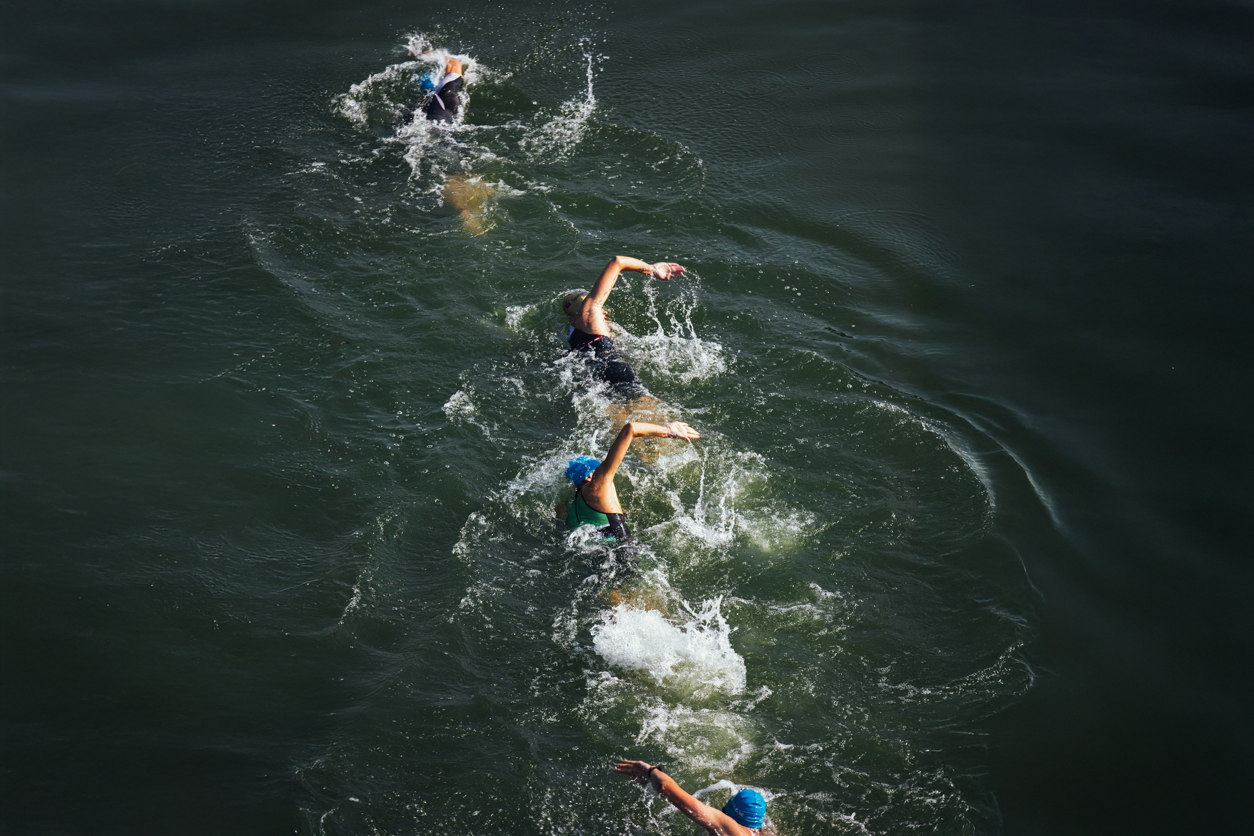 Swimmers racing through open water near San Francisco